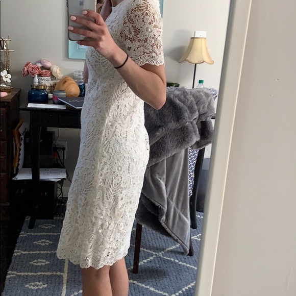 Beautiful Lace Ralph Lauren Dress - Picture 6 of 7